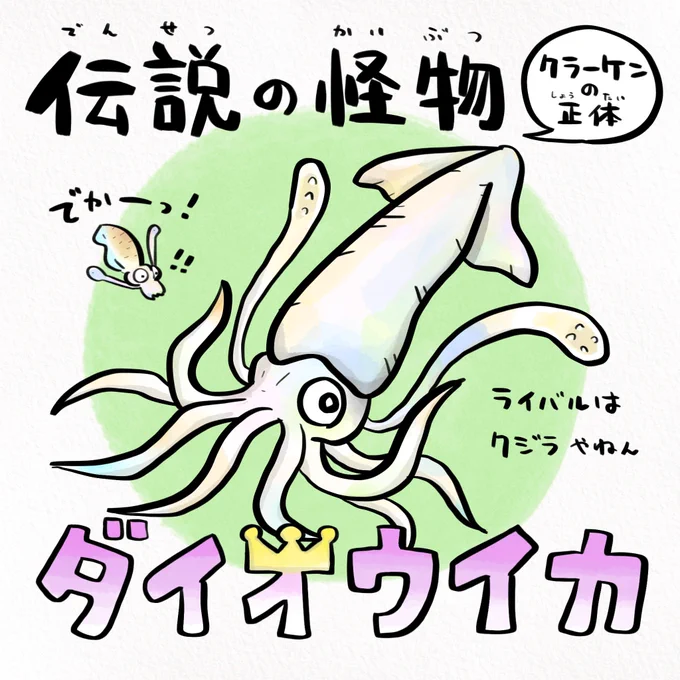スラムダンクで思い出したけど、ダイオウイカの目玉はバスケボールサイズ 