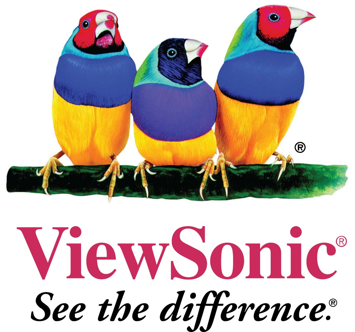 TheAlexaNet's tweet photo. Flicker-Free monitors that not bad for your eyes.. https://t.co/boO3rNIFZd

#RetroComputing #healthylifestyle https://t.co/kPqmZSthlC