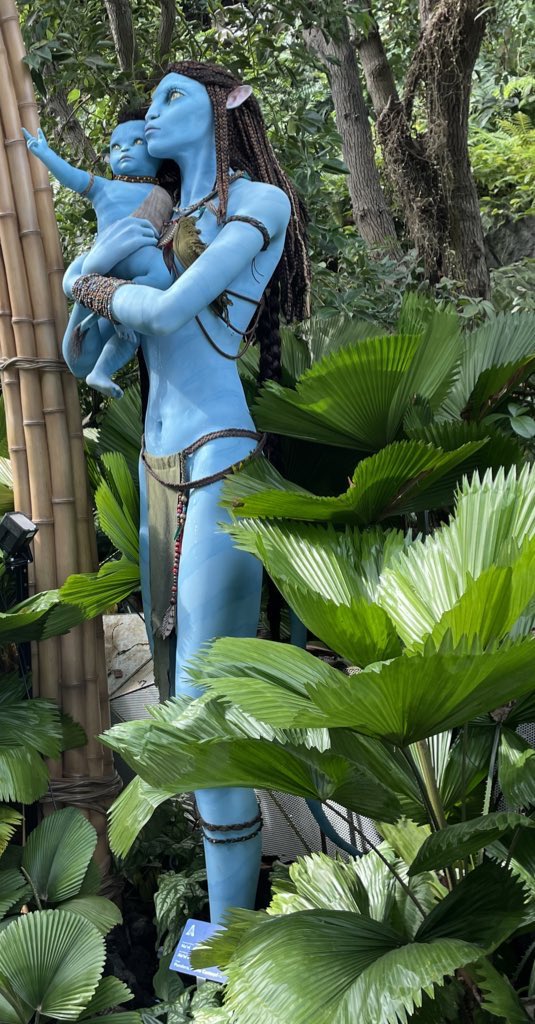DivinationCha0s's tweet photo. Visited the Avatar Cloud Forest exhibit in the Garden by the Bay :) #AvatarTheWayofWater #Garden #Singapore https://t.co/TKffyeB0cH