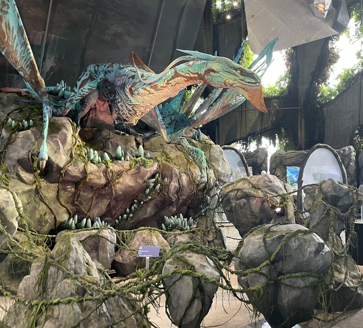 DivinationCha0s's tweet photo. Visited the Avatar Cloud Forest exhibit in the Garden by the Bay :) #AvatarTheWayofWater #Garden #Singapore https://t.co/TKffyeB0cH