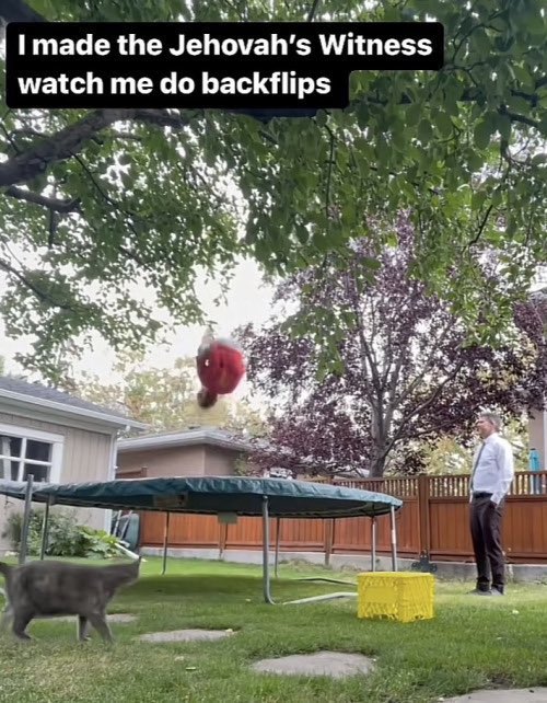 Accidental Bronson (@accidentalbron) on Twitter photo 