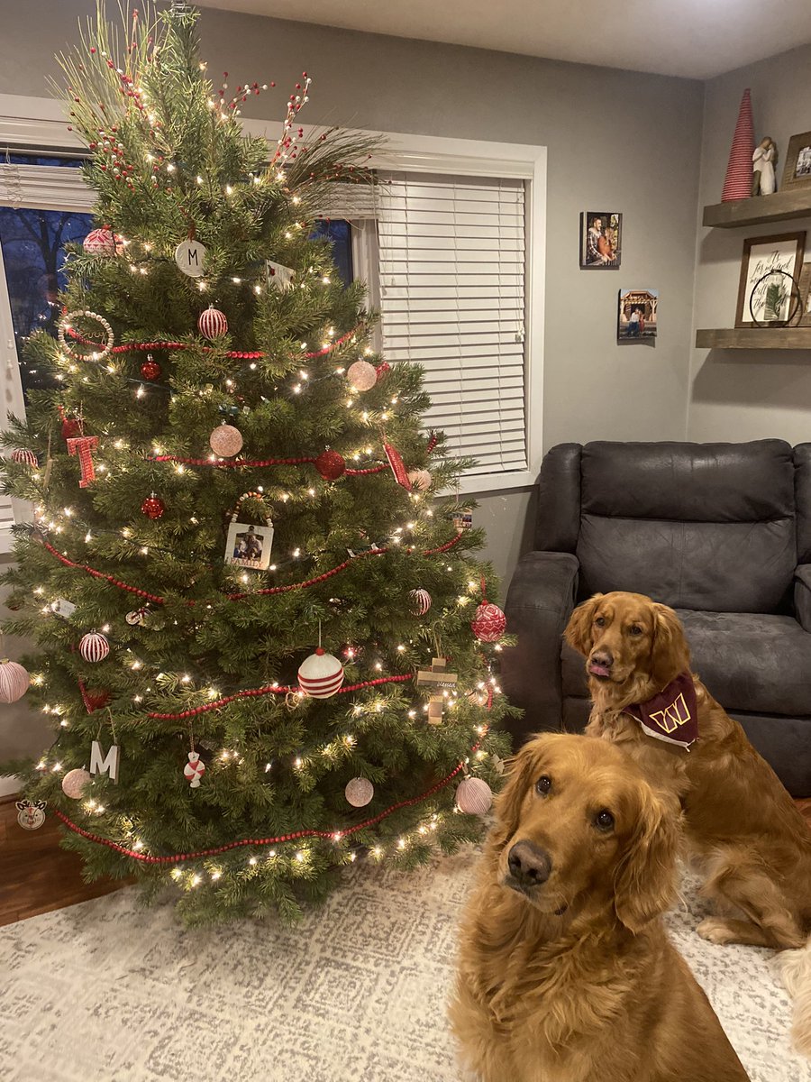 coach_m18's tweet photo. The most wonderful time of the year! 🎄🎅🏻 https://t.co/BU1KGhuy4n