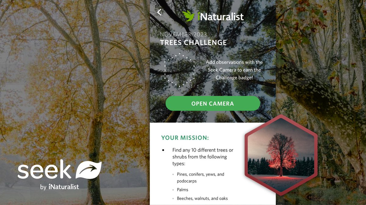 New month means new Seek challenge! This month, pay attention to the trees that surround you. Which new species can you find? 🌲🌳🌴