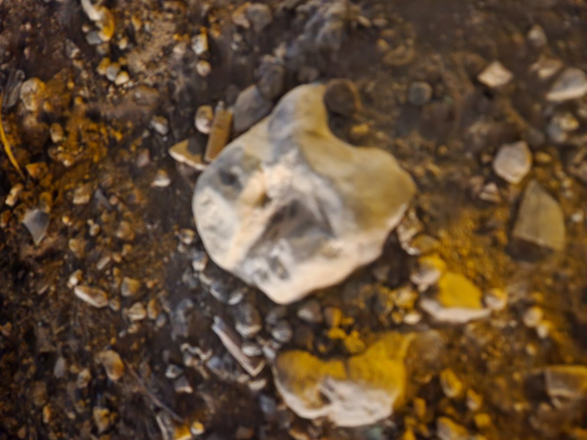 GeneralFloat's tweet image. مستحيل