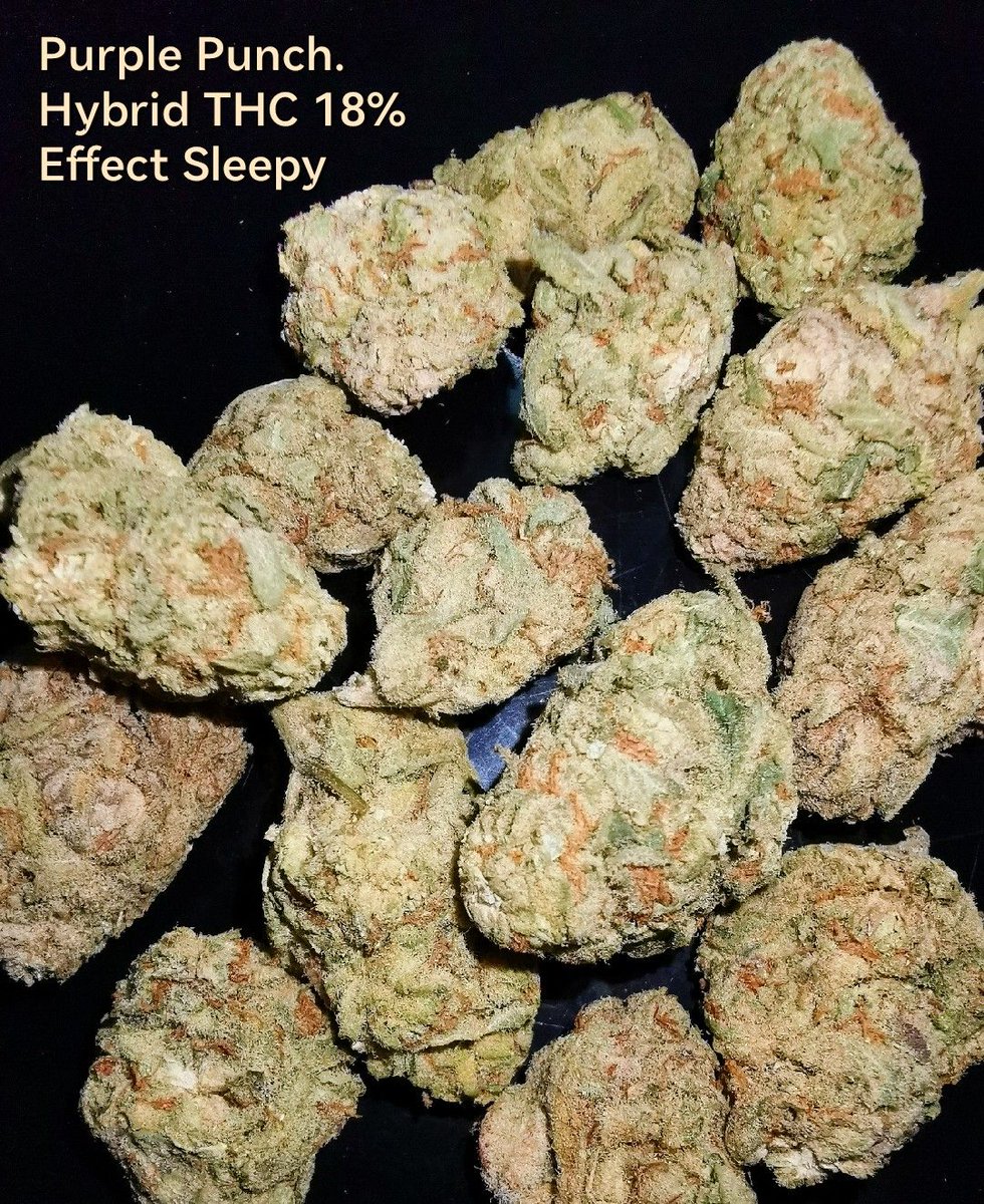 Getkit1's tweet image. OG​ งานดี​ ราคามิตรภาพ​  👍
Exotic-Top.​ Import.​
==============
390/G
360/10G
== รับประกันความเมาทุกตัว​ ==
= ราคาขีด​​ สอบถาม​ =
ติดต่อ​ Line : @597mponl
#กัญชา #ขายกัญชา #กัญชาเชียงใหม่ #กัญชาออแกนิค #กัญชากรุงเทพ #กัญชาโอจี​ #กัญชาog #กัญชาเสรี​ #marijuana #กัญชาอัดแท่ง