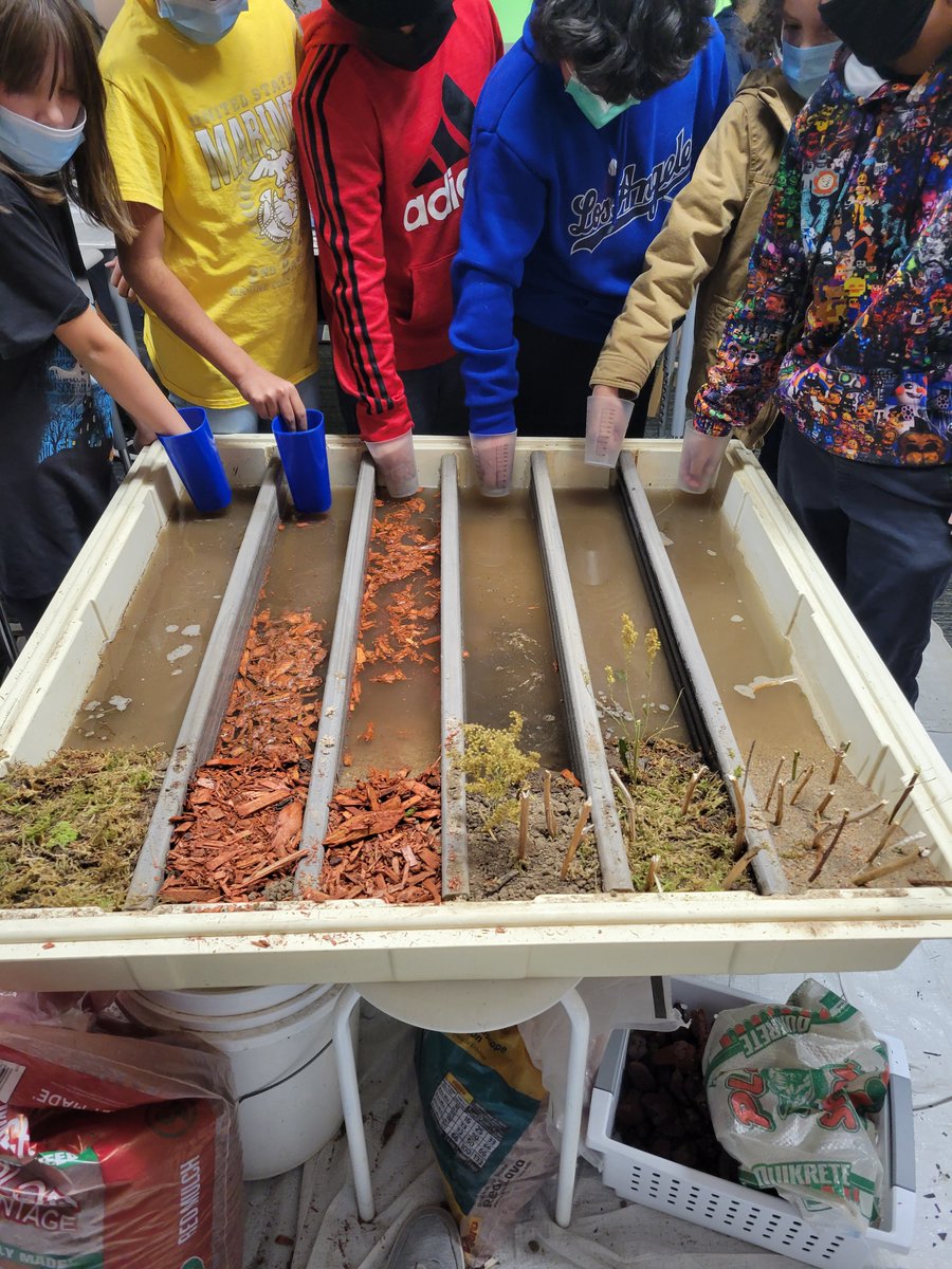 Lily Ellison tweet media