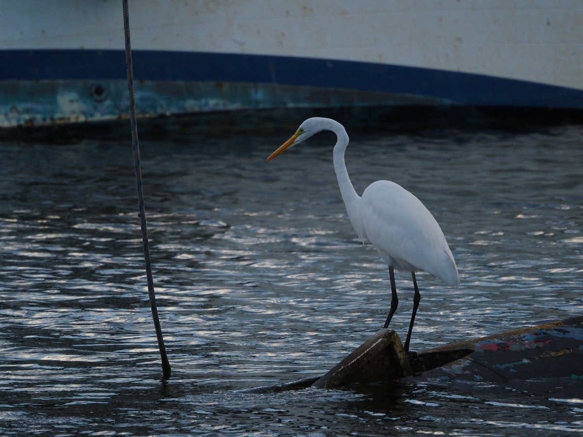 Kirill Traveling tweet media