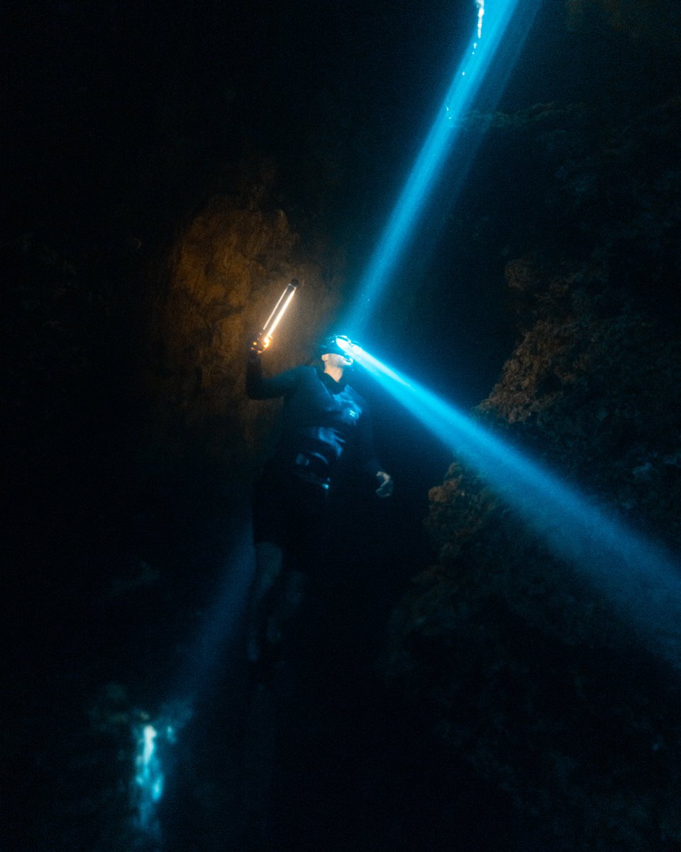 Ben Savage tweet media