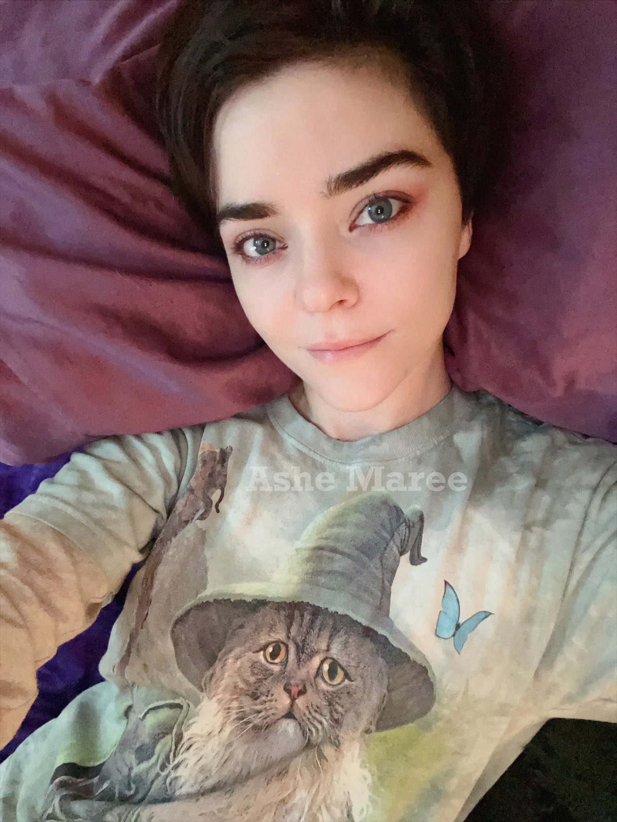 KissMyAshexo On Twitter i AM The Bed Bug Https t co kIO6PMxXrp kissmyashexo-on-twitter-i-am-the-bed-bug-https-t-co-kio6pmxxrp