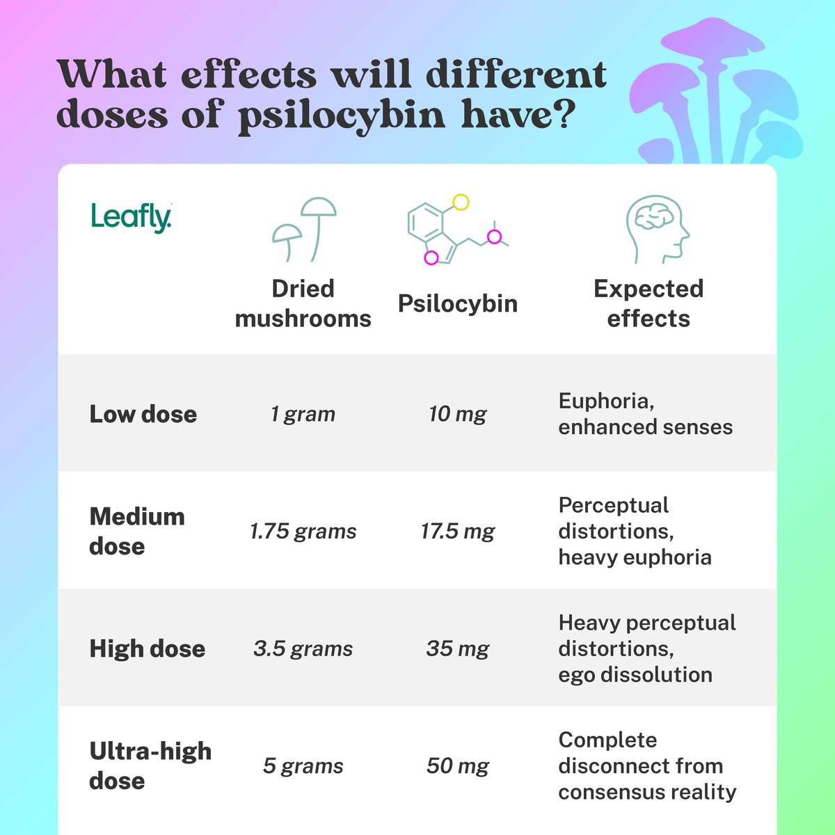 Leafly's tweet photo. Taking a trip? Plan the perfect journey: https://t.co/4ni2VC4PpJ https://t.co/ZpvV58fSMA