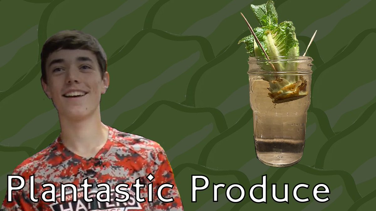 Grow your own plants at home with #HatterSTEM! youtu.be/b0Coc5MO-84