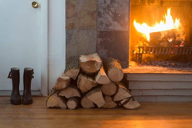 Extermco's tweet image. Do you frequently burn fire wood during the winter months? Make sure you store your fire wood away from your home to reduce the risk of termites, pests, and wildlife. #ExtermcoPestControl