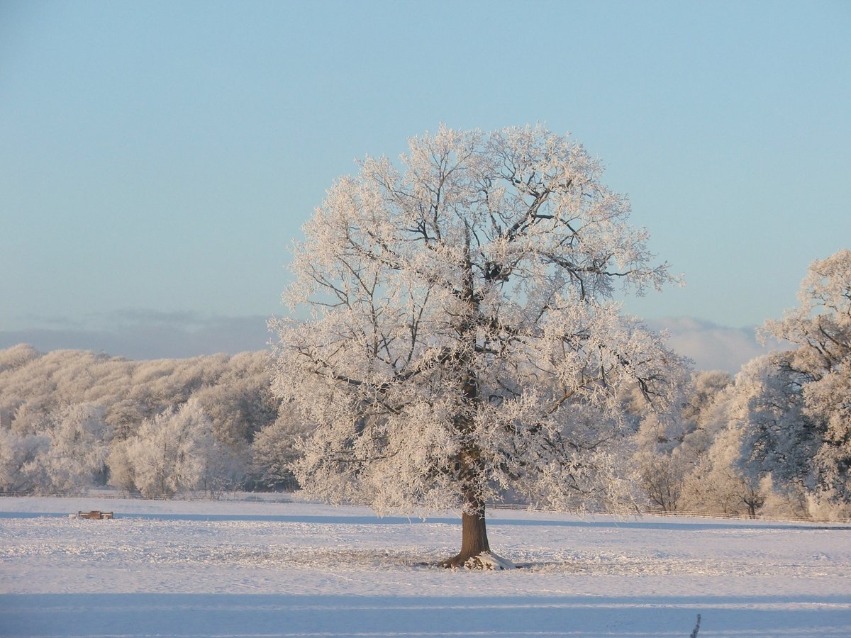 CumbrianLocal's tweet image. Winter is coming soon......