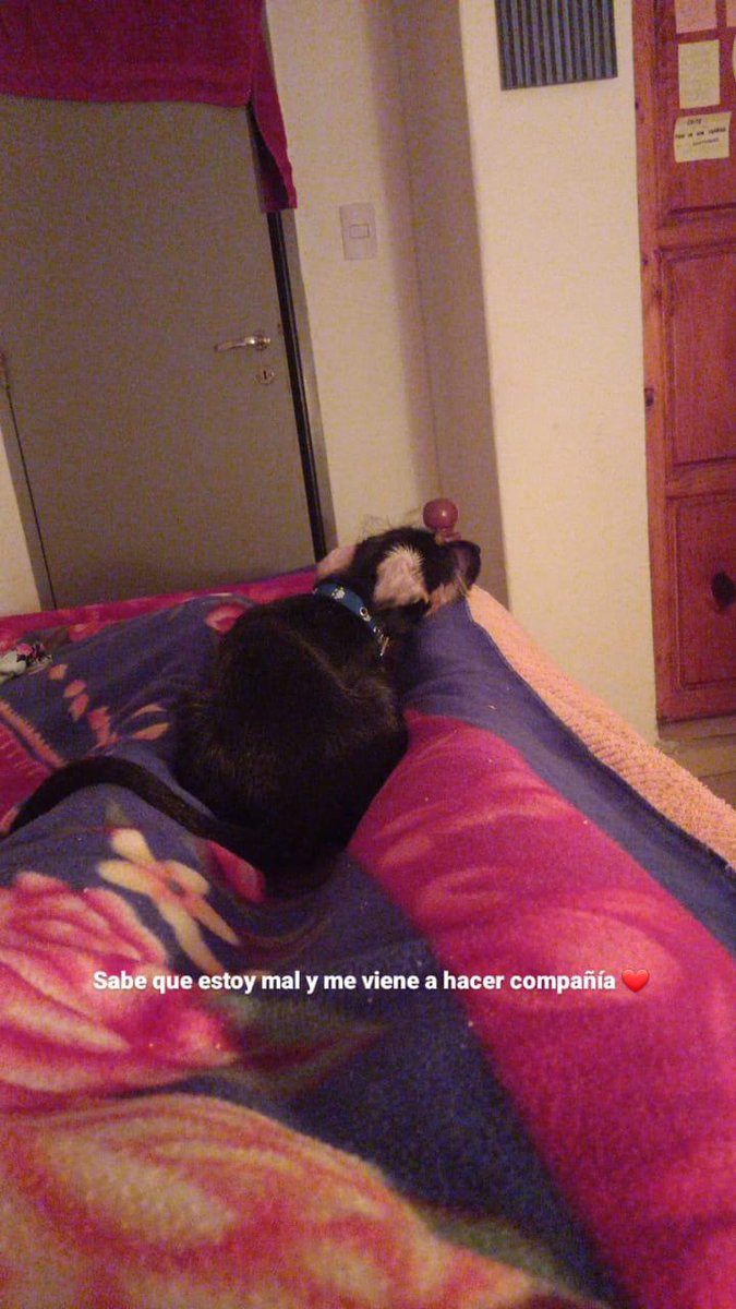 roobarrios9's tweet photo. Hoy cuando llegué a casa me di cuenta de lo afortunada que soy de tenerte ❤️ https://t.co/xXPzDJX5SH