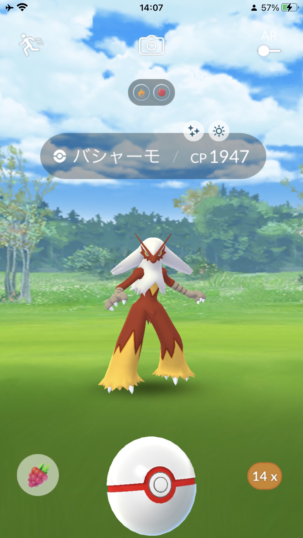 Nakkanahaポケモンgo メガバシャーモ倒したら色違いだった T Co 6cztzcvwsl Twitter