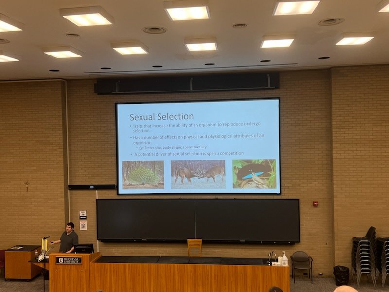 BrandonDimick1's tweet image. A lovely day to talk science! Gave a seminar talk in my department at Duquesne University today. Some great questions and great conversations! #evolution #hominids
