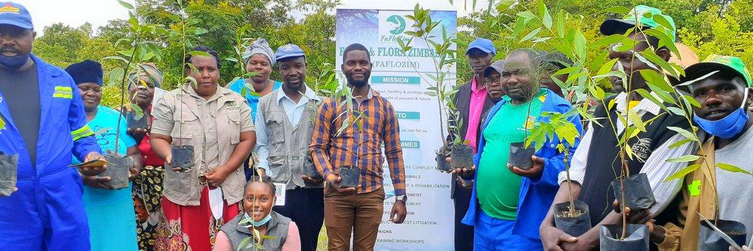 Happy #NationalTreeplantingDay🇿🇼