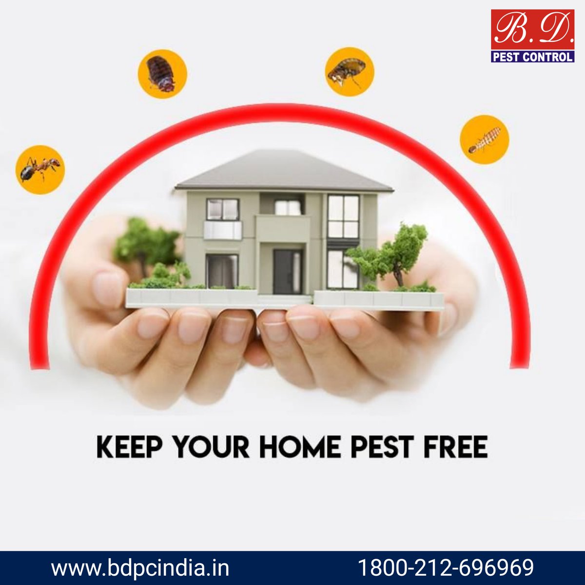 bdpcindia's tweet image. It’s critter season—be sure you’ve protected your home and family.
#bdpestcontrolindia #bdpcindia #BDPestControl #bdpci #pestcontrolserviceinkolkata #bdpestcontrolindia