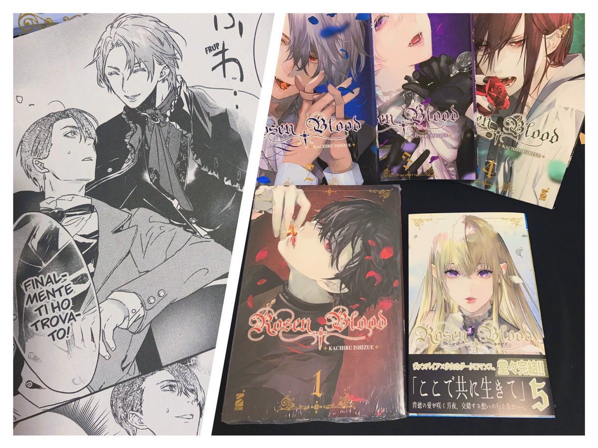 箱一杯各国語版RosenBloodが届いたのですが、イタリア語版凄く大きくて良いです🥰
(ステラさんは日本語版です
#RosenBlood