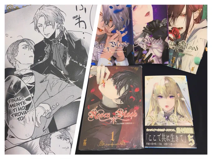 箱一杯各国語版RosenBloodが届いたのですが、イタリア語版凄く大きくて良いです🥰
(ステラさんは日本語版です
#RosenBlood 