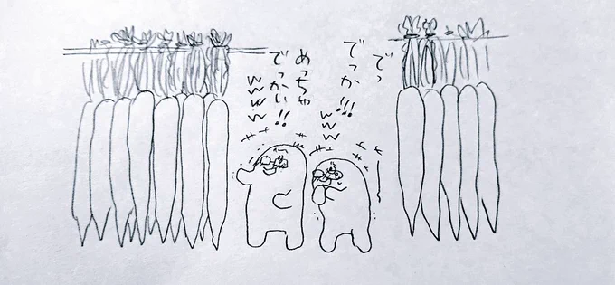めちゃめちゃでかい大根がいっぱい干してあってあまりのでかさに爆笑した夢 