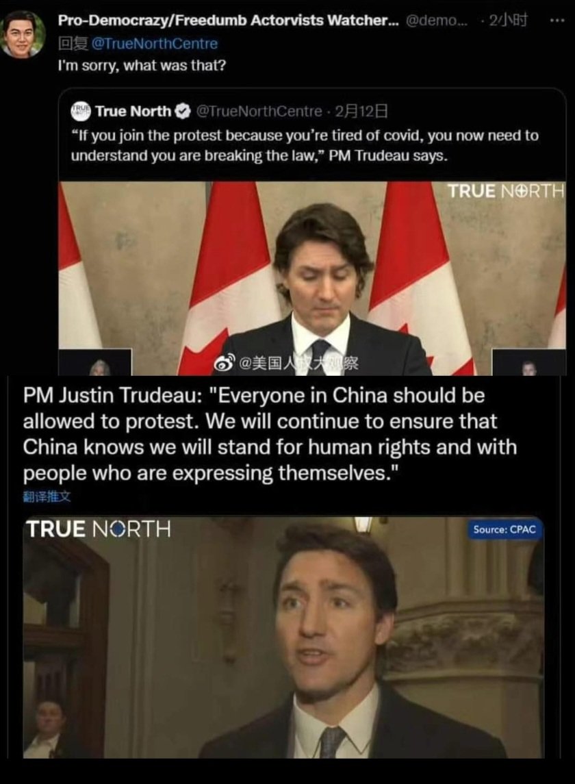 johnnytson's tweet photo. This dog who only knows how to hide behind its master has split personality
Before: Any anti epidemic demonstration in Canada is against the law
Now: Support China's anti epidemic demonstration 🤣🐶🐕 https://t.co/CSBVx8EzY6