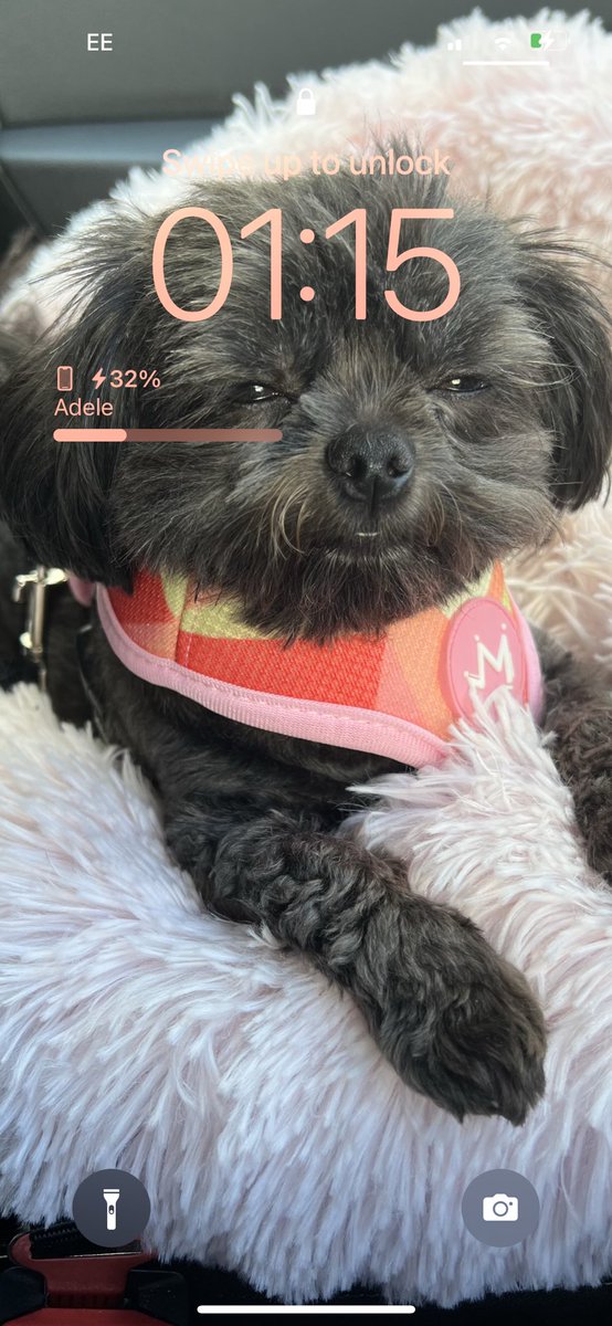 Adelish_x's tweet photo. The best thing about the new iphone update is the wallpaper feature setting, e.g today my wallpaper is this https://t.co/J7OPQcDw8c