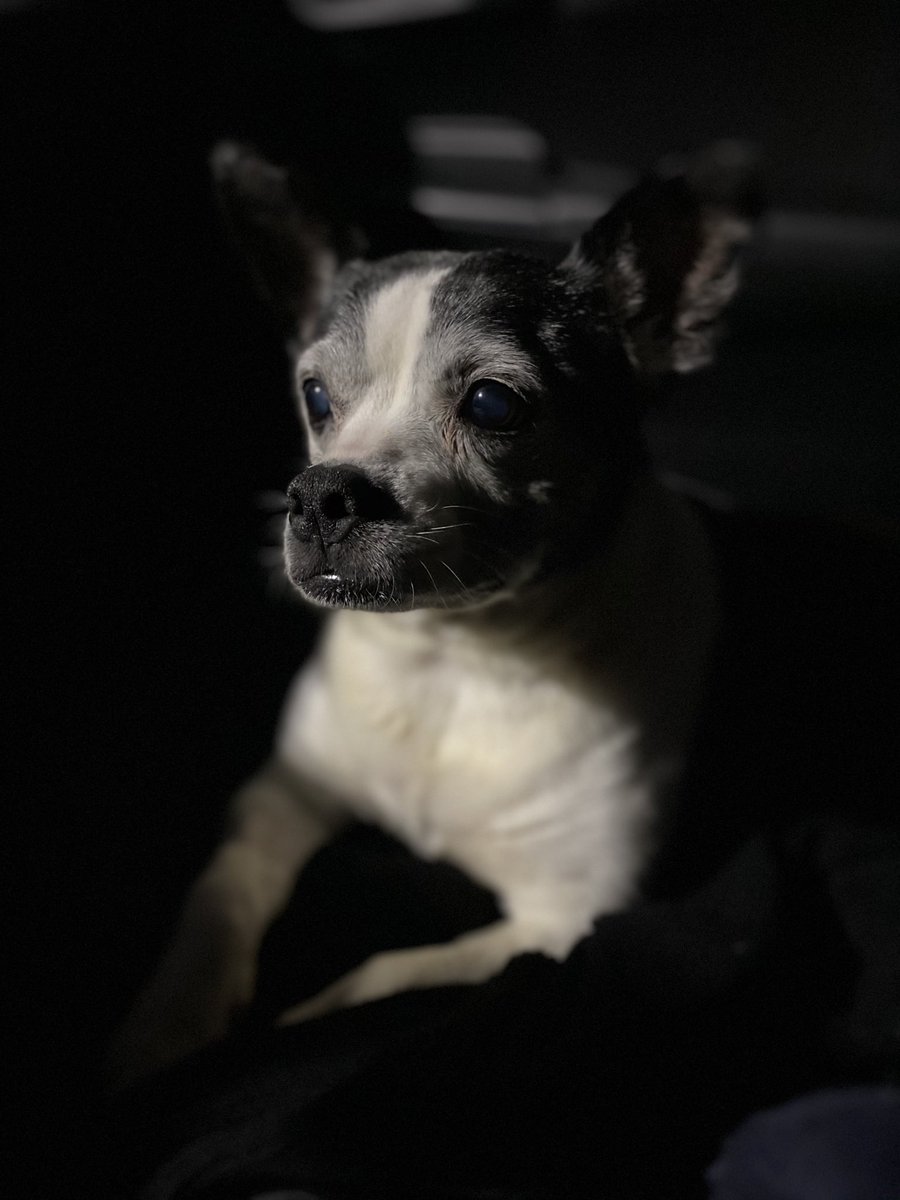 Amy Loyd 🎭 tweet media