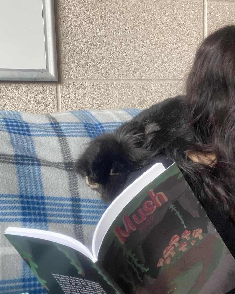 realMushMag's tweet photo. Today Boots came and joined our Mush meeting! https://t.co/BYZWMh6NgX