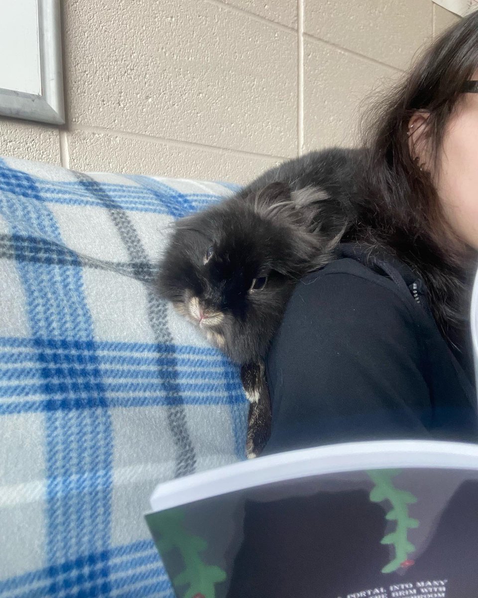 realMushMag's tweet photo. Today Boots came and joined our Mush meeting! https://t.co/BYZWMh6NgX