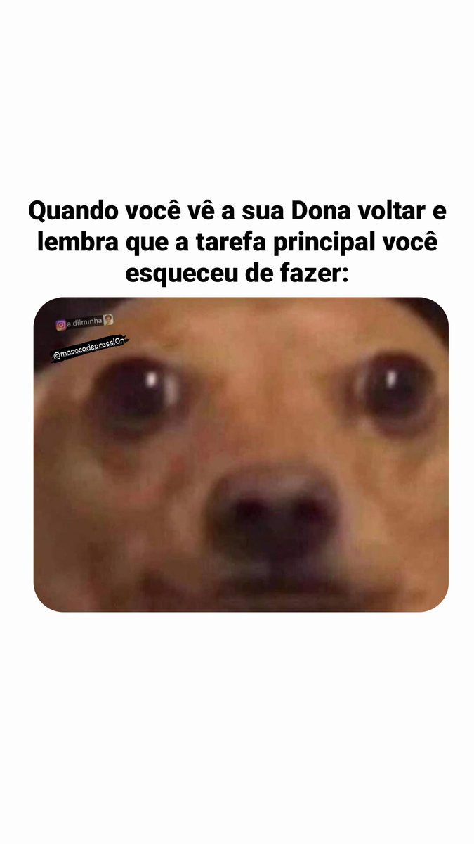 Masoca_da_Depre's tweet photo. Estou lascado 🥲
#femdom #bdsmِ #podolatria #dominadora #feet #masoca #masochist #memebdsm https://t.co/6A5bBRcIWa