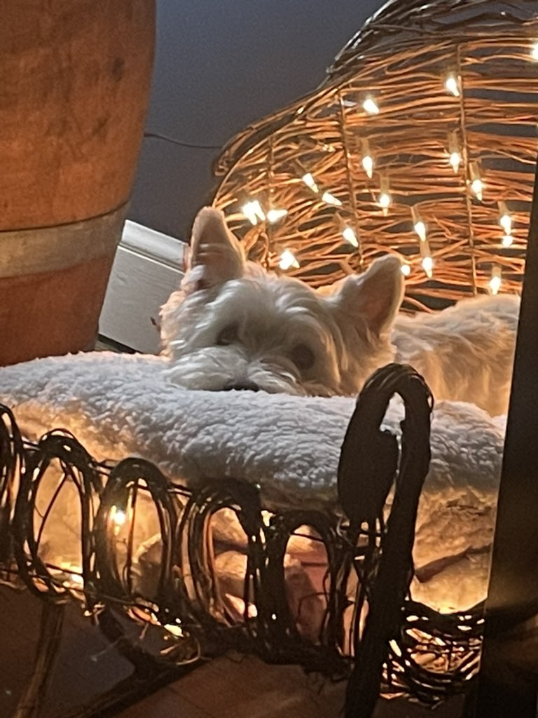 I can’t handle the cuteness!