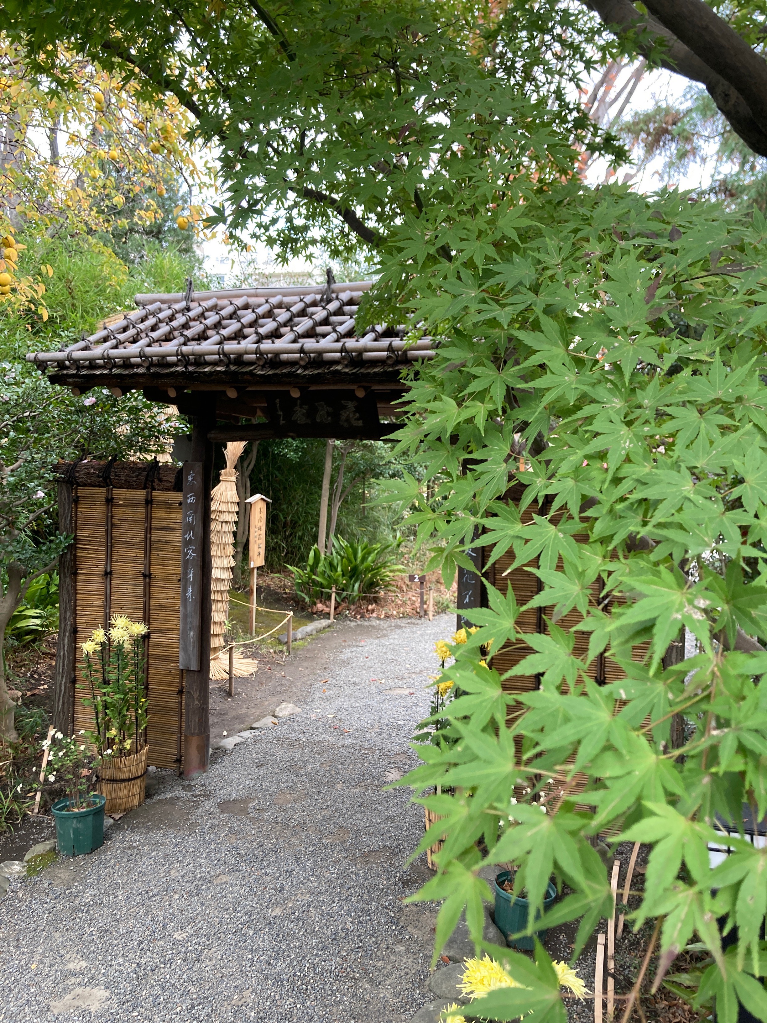 向島百花園 Mukoujimagarden Twitter