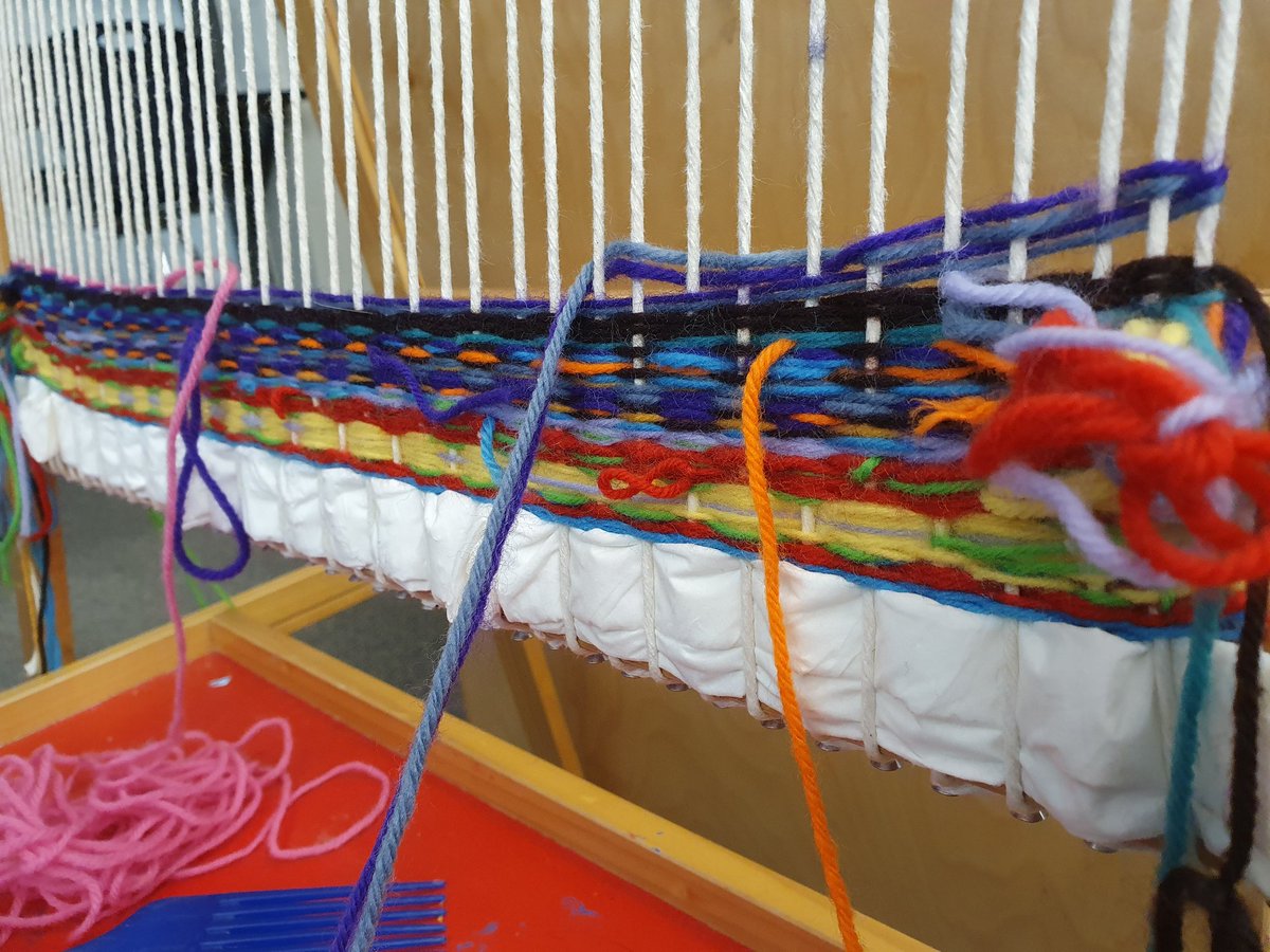 Tracy Terry tweet media