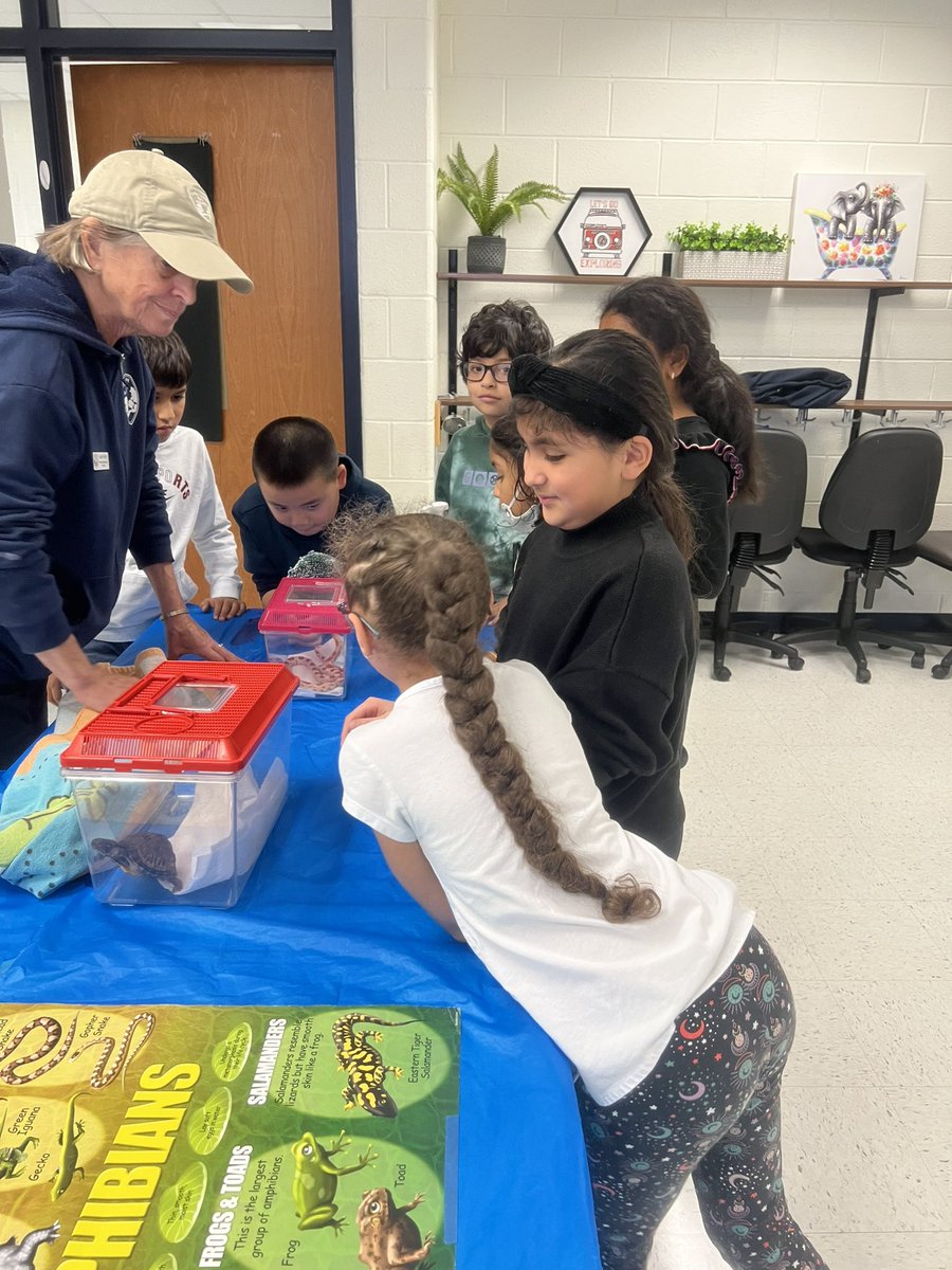 HessThirdGrade's tweet photo. Third graders learned about reptiles and amphibians at our in house field trip! @RLCPrincipal https://t.co/RHbRA14At9