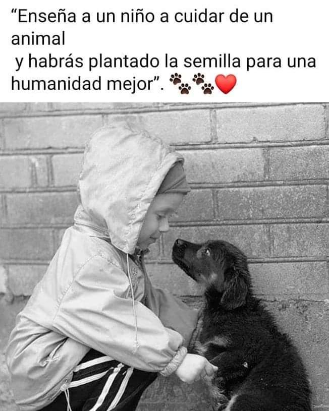Enseña a un niño a cuidar de un animal y habrás plantado la semilla para una humanidad mejor 🐶🙏🏻❤️