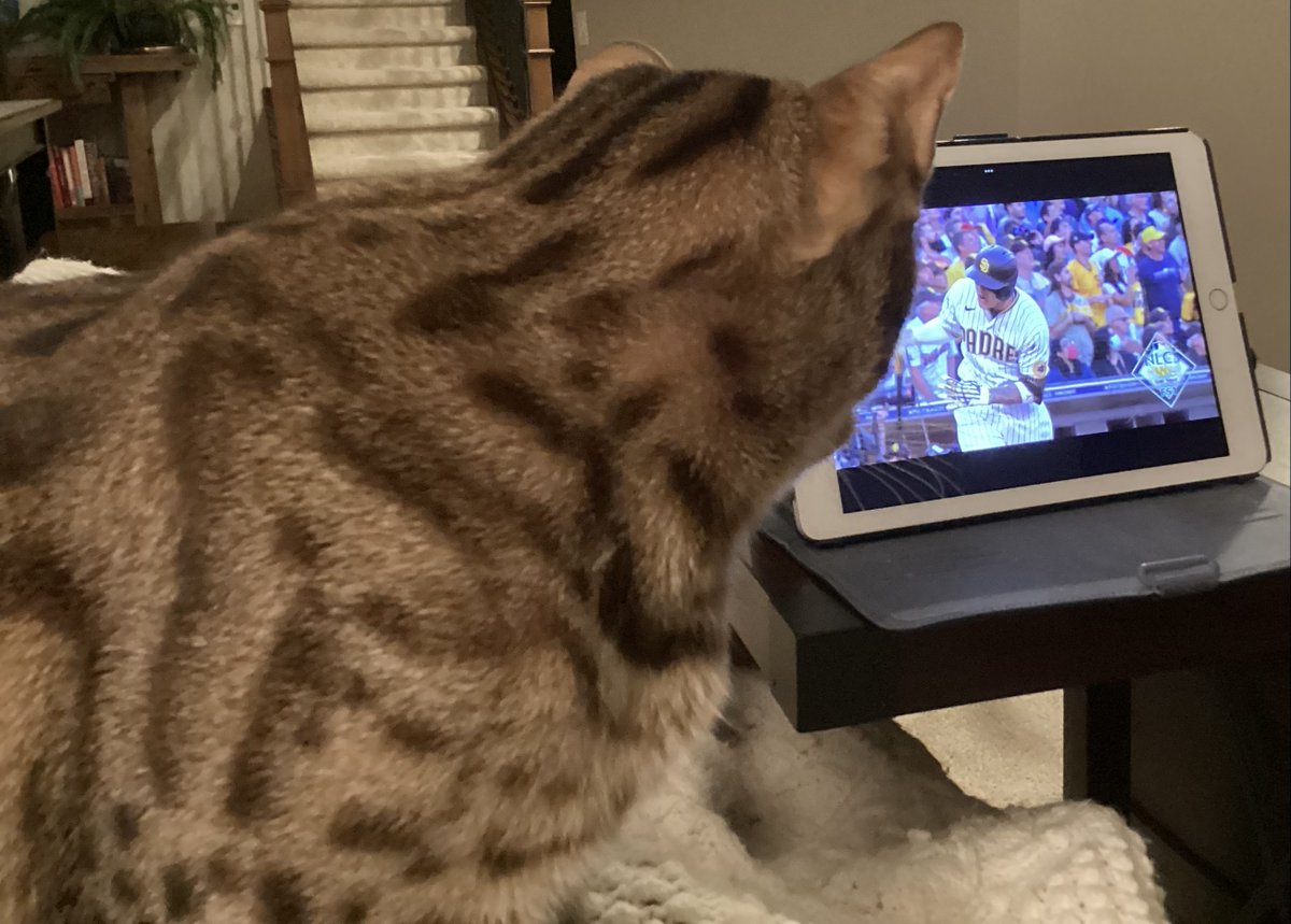 Beach Bound tweet media