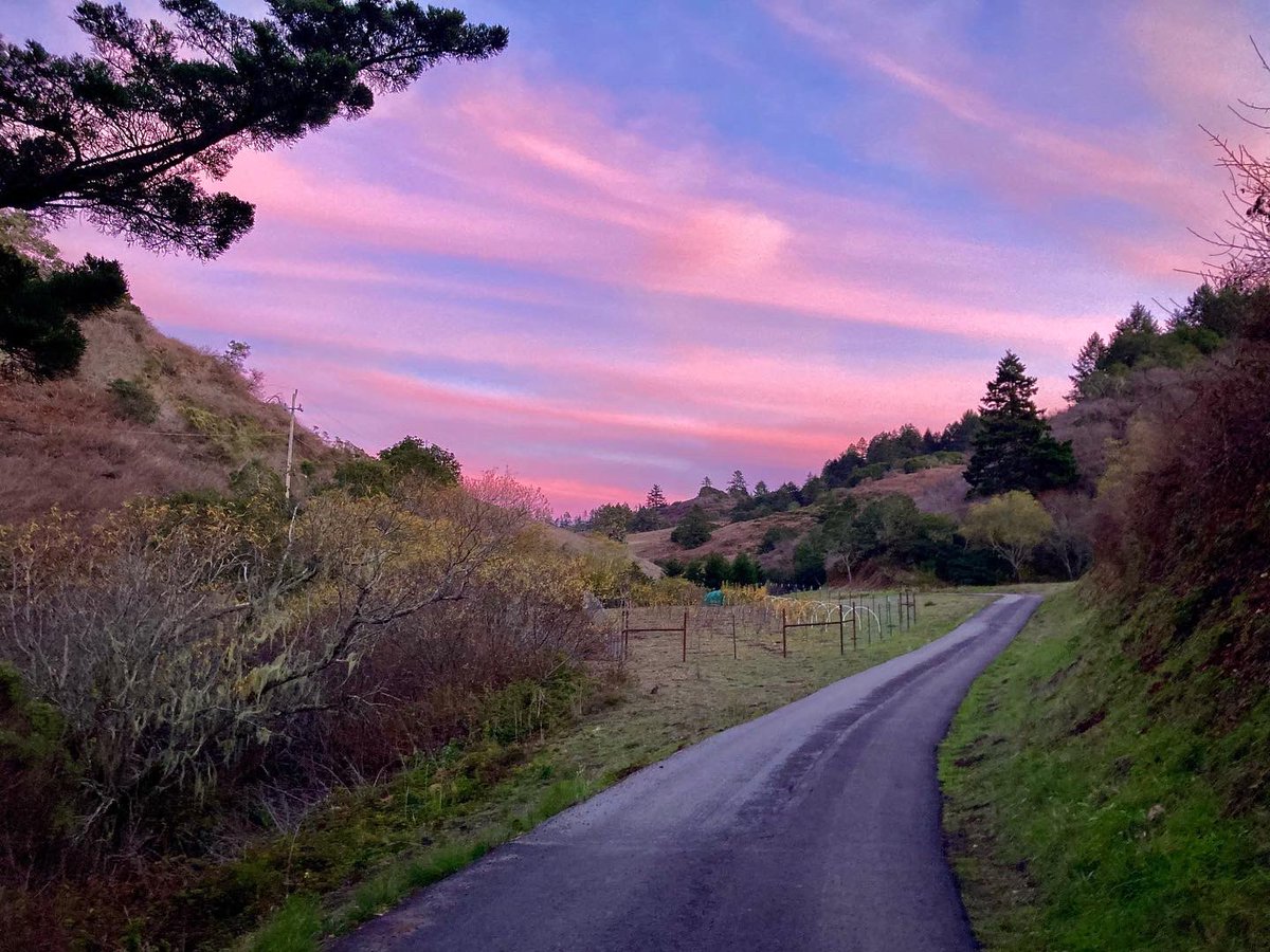 KristabelDH's tweet photo. Sights from my evening freedom run. 

I’ve always loved the freedom that running offers me. How I can run anytime, anywhere: needing nothing from anyone other than myself. Just a heart, or two, and then my legs know the way and my mind follows. #doubleheart #SpecialK https://t.co/qR1ocBo507