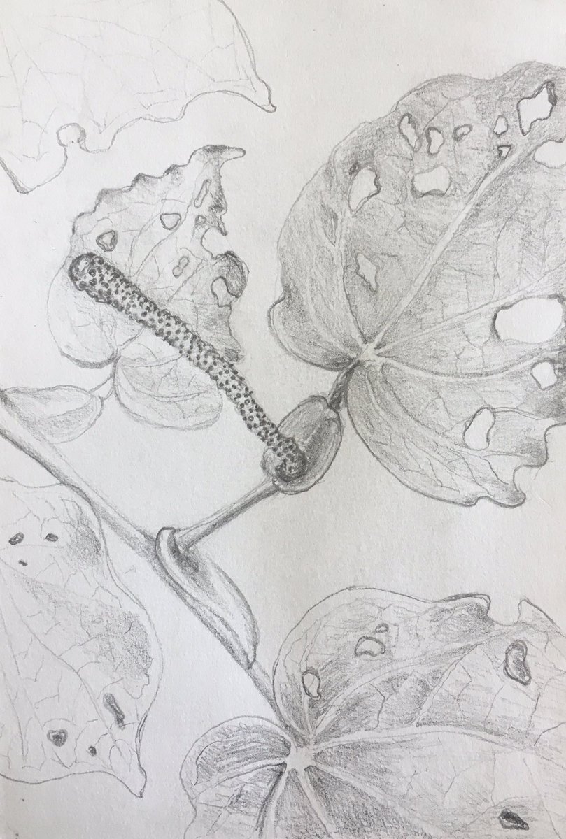 Lee Barry tweet media