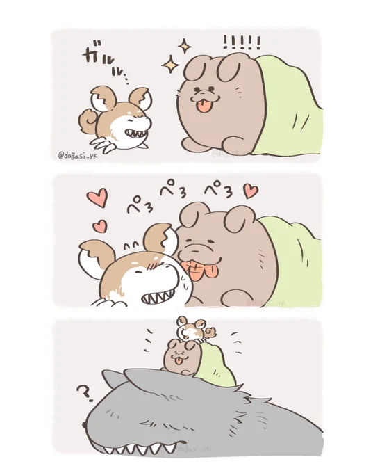 かわいいキメラ 犬仲間 