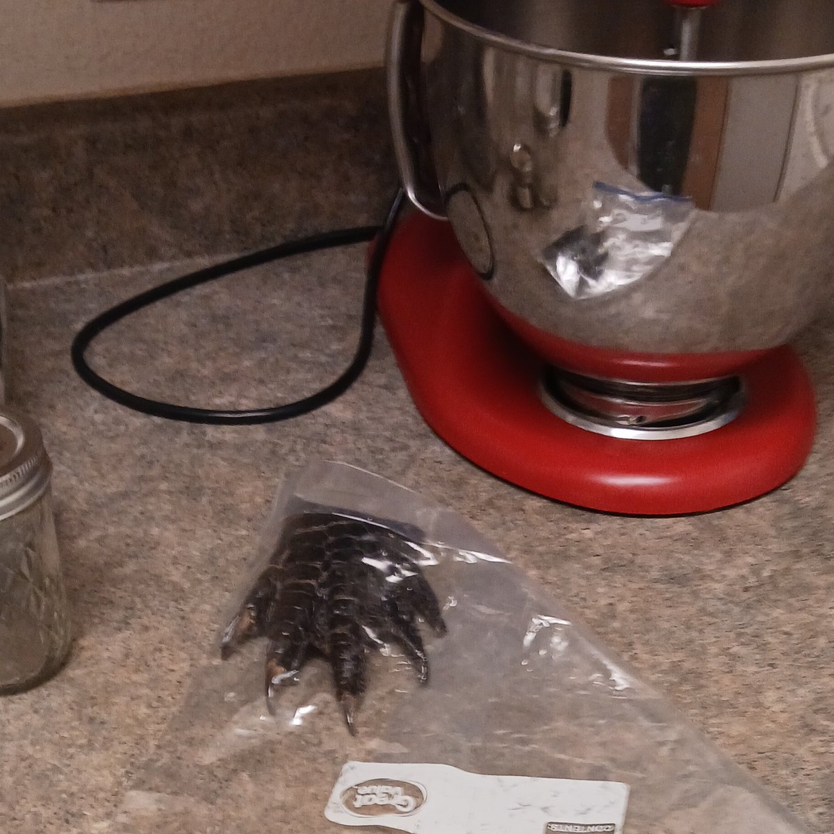 Tell me your husband recently went gator hunting without telling me your husband recently went gator hunting...