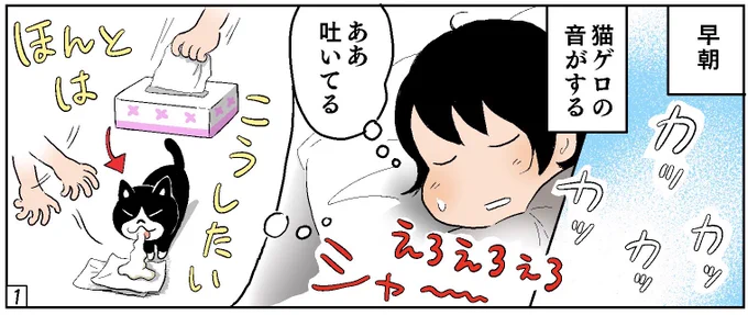 ねこ漫画「サビとハチワレ」
第9話「朝の不意打ち」

#ねこ新聞
#漫画が読めるハッシュタグ 
#サビ猫 #ハチワレ

↓
https://t.co/NL6XKBEr6C 