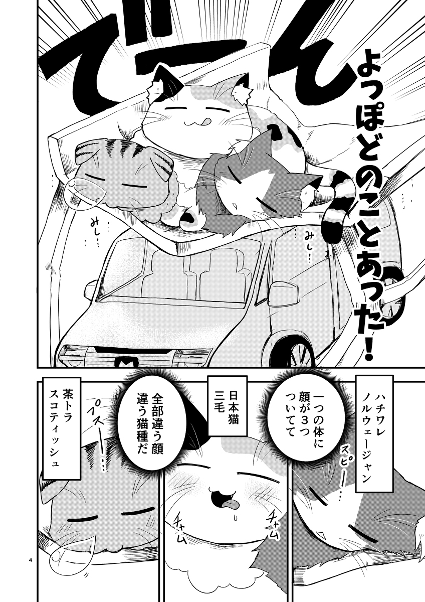 でっかい変な猫を飼う話 1/6
#創作漫画 #猫 