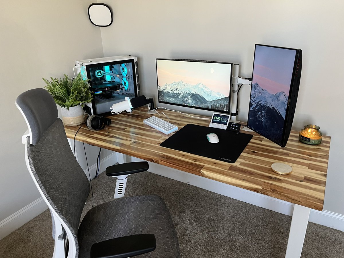 Austmo 🇺🇸 tweet media