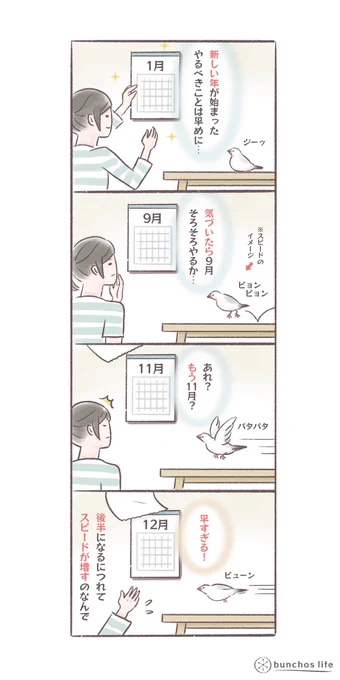 気付いたらもう12月、1年の前半と後半で体感スピードが違い過ぎる
#文鳥 
#bunchoslife 
#4コマ漫画 