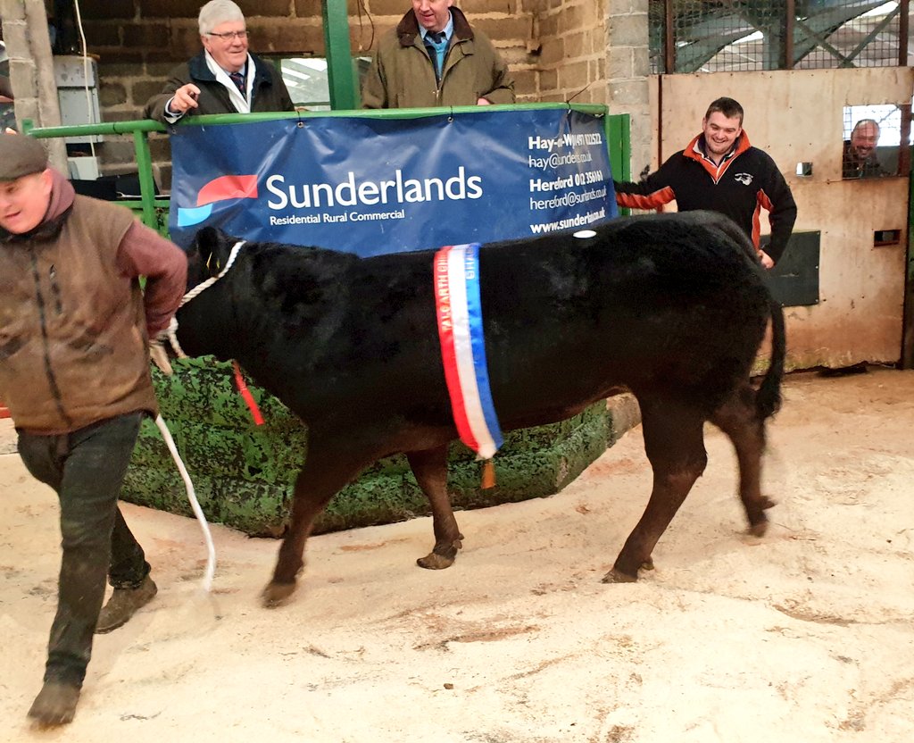 TalgarthMatters's tweet photo. Fantastic atmosphere &amp; prices at today's #Talgarth #Christmas #Primestock Great to see local auctioneers, butchers &amp; farmers across the generations coming together for this seasonal derby 🎅. Special thanks to Graham Baker, Matthew Nicholls &amp; Lynne Williams for the hospitality 🐃 https://t.co/7pqHFMM5l5