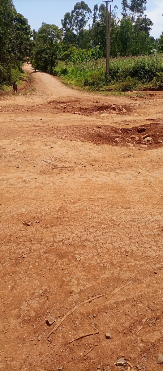 <a href="/TransportKE/">Ministry of Roads and Transport | Kenya</a> <a href="/KeNHAKenya/">Kenya National Highways Authority (KeNHA)</a>  <a href="/KeRRA_Ke/">Kenya Rural Roads Authority (KeRRA)</a>  the  construction of the 6km stretch of road between #Kombewa and #Maseno towns began 10 years ago is hardly past the halfway mark...this busy road traverses #vihigacounty and #kisumucounty and is a major link between western and nyanza.