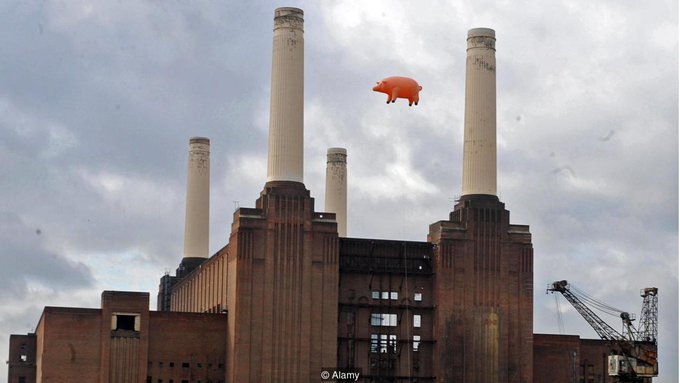 Pink Floyd's inflatable pig floated away during the "Animals" album cover shoot and landed in a farm in Kent, December 3, 1976..