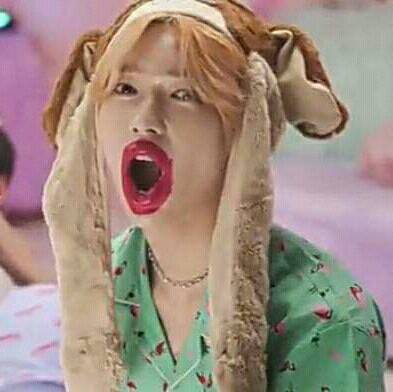 Maryo1520's tweet photo. jajajaja okey me reí cuando vi esto, Leo que te hicieron 
#TFN_IN_MEXICO  
#TFN #티에프앤 #T1419 
@TFN_official_ https://t.co/3zVvOFm6ap