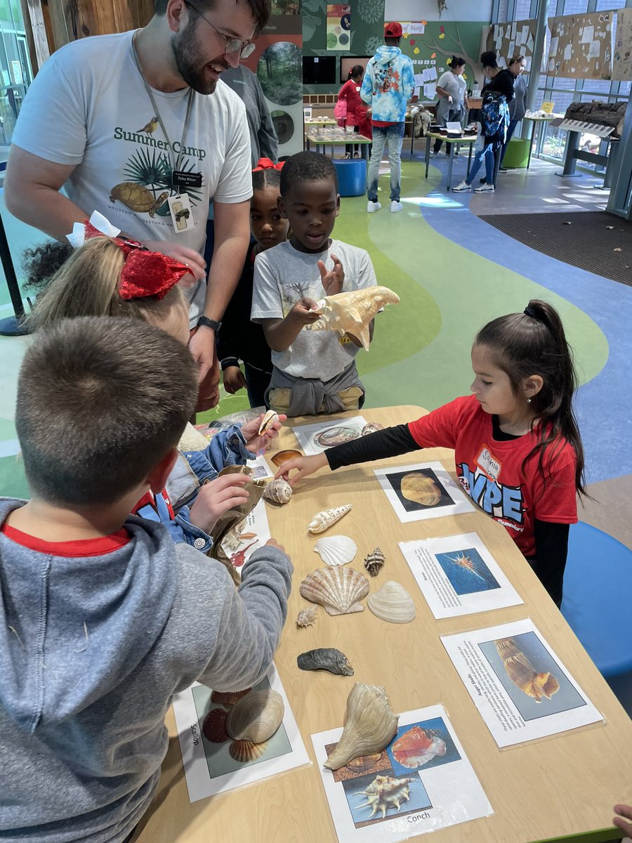 Amanda Iverson tweet media